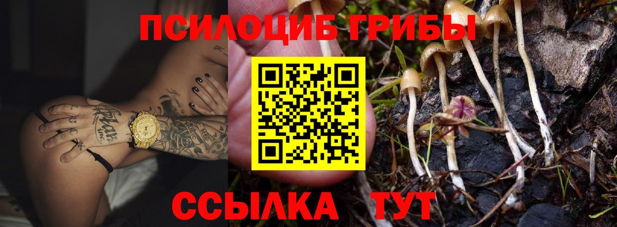 Галлюциногенные грибы GOLDEN TEACHER Дагестанские Огни